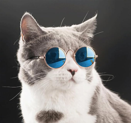 6 Pieces Pets Dog Cat Bowtie Pet Sunglasses and Summer Pet Straw Hat with Faux Gold Chain Pet Costume Adjustable Formal Necktie Collar for Cats Small Dogs Puppy Grooming Accessories