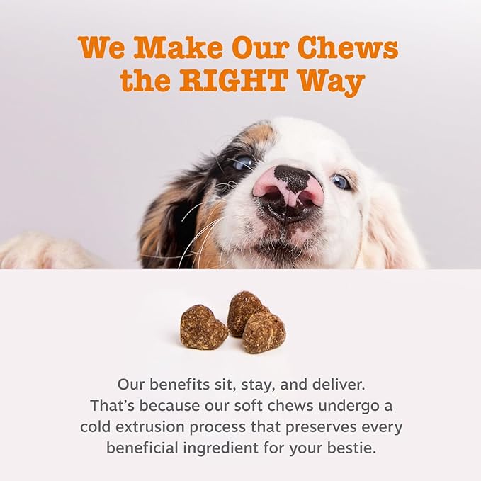 Zesty Paws Dog Allergy Relief Chews, Dog Probiotics for Itchy Skin and Ears, Peanut Butter, 90ct