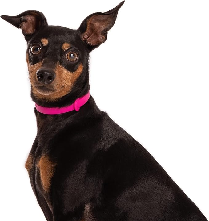Dog Collar - Comfortable, Soft and Lightweight Adjustable Collar with Name Tag Ring for Miniature Dogs and Puppies - Non Breakaway Cat Collar by Nuvuq (Pink, Mini)