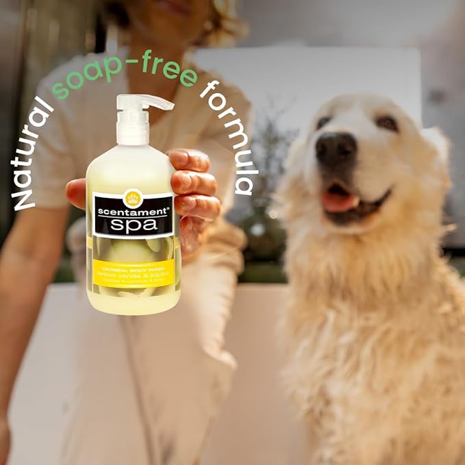 Best Shot Spa Oatmeal Body Wash, Lemon Vanilla, 16 oz