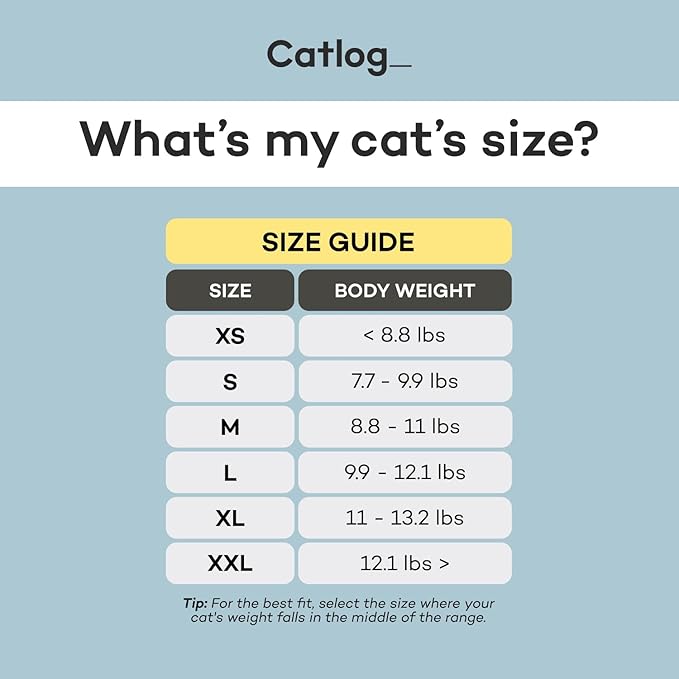 Health Tracker for Cats - Smart Cat Collar with Safety Breakaway Buckle for Indoor Cats, Wellness Alerts, Real-time Monitoring (Charcoal, M)
