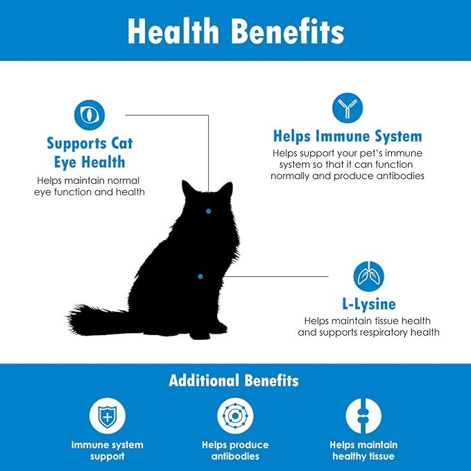 L-Lysine Soft Chews for Cats (60 Soft Chews) – Supports Immune, Respiratory, and Eye Health. Eases Sneezing, Runny Nose, and Watery Eyes. Salmon Flavor - (6 Pack)