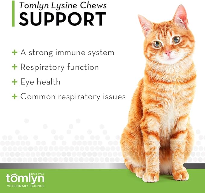 Tomlyn Immune Support Daily L-Lysine Supplement, Fish-Flavored Lysine Chews for Cats and Kittens, 30ct