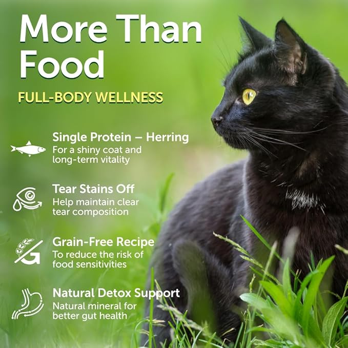 Nature's Protection Dry Cat Food - Grain Free, High Protein Cat Food Dry Kibble for Indoor Adult Cats with Dark Fur - Sensitive Stomach, No Tear Stains & Hairball (Superior Care - Herring, 3.3 lb)