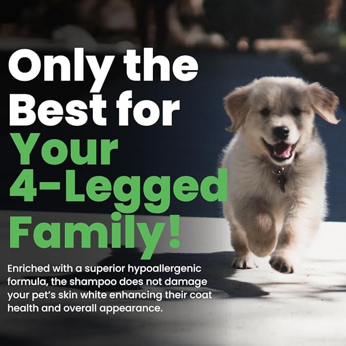 Best Shot Scentament Spa Caressing Body Wash, Cucumber Melon, 1 Gallon