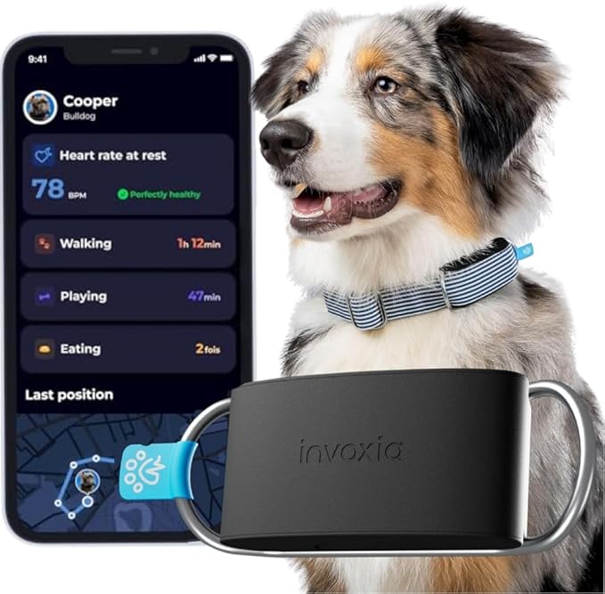 Invoxia Minitailz - Health & GPS Tracker for Dogs #1 - Cardiac and Respiratory Scan - Real-time Location - Activity and Well-Being Analysis - Compact, Lightweight, and Easy to Install