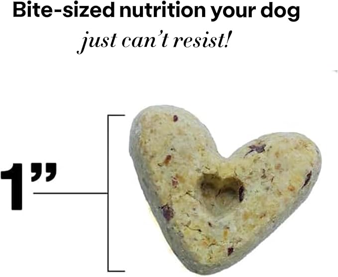 Wild Earth Superfood Dog Treats, Plant Based Dog Treats with Omega Acids, Prebiotics & Koji Protein, No Fillers, Veterinarian-Developed, Banana & Cinnamon Flavor