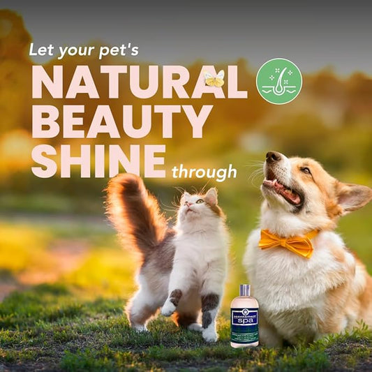 Best Shot Pet Scentament Spa Seasonal Facial & Body Wash, Berry Amaretto, 16 oz (S55-16oz)