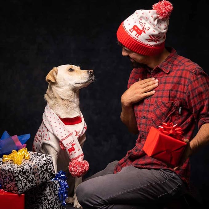 Blueberry Pet Dog Ugly Christmas Sweater - Holiday Reindeer & Snowflake Pullover, Festive Red, 10" Back Length, Warm Clothes for Small Dogs