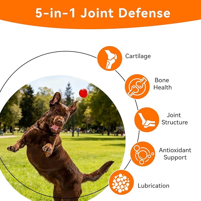 Dogs & Cats Hip & Joint Supplement with Collagen, Glucosamine, Chondroitin, MSM, Dog Joint Pain Relief, Multivitamin Treats for Small, Medium Large Dog Mobility, Large Breeds-90 Soft Chews
