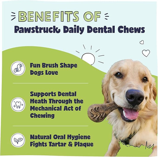 Pawstruck Natural Dental Chews for Medium Large Dogs & Puppies - Vet Recommended Brush Stick Treats Made in USA Breath Freshener to Improve Oral Hygiene & Clean Teeth - 30 Count - Packaging May Vary
