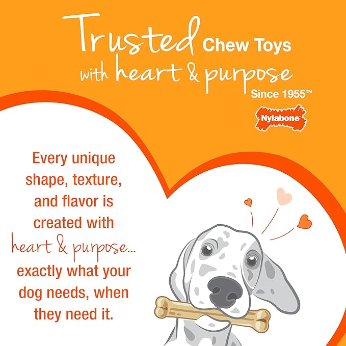 Nylabone Textured Ring Power Chew Toy for Small Dogs, Tough Dog Toys Durable Design for Aggressive Chewers, Best Dog Boredom Toys, Flavor Medley, Small - Up to 25 lbs (1 Count)