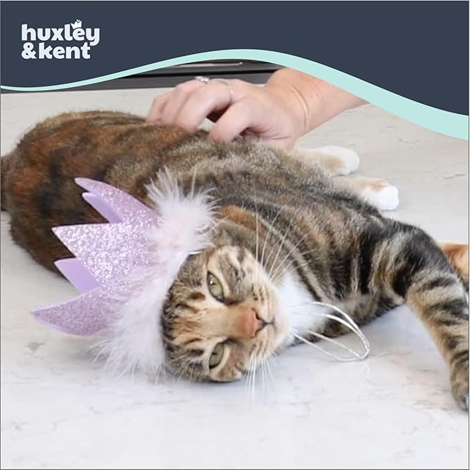 Huxley & Kent Pet Party Crown Hat for Dogs & Cats - Comfortable SnugFit Adjustable Straps - Glitter Crown for Parties, Gotcha Days & Celebrations - Purple, Small