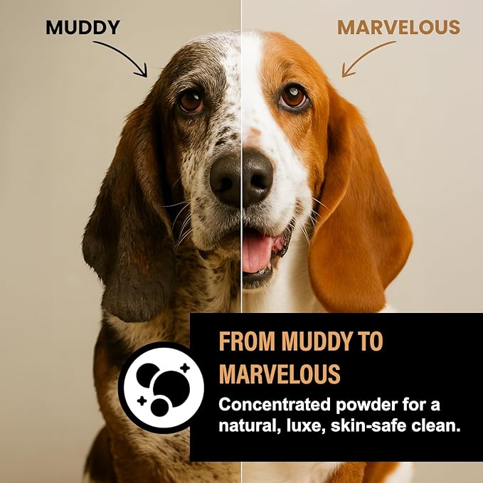 Dog Shampoo Alternative – Oatmeal & Honey Dog Bubble Bath with Autumn Scent – Natural Gentle Puppy Wash – Halloween Dog Gift - 12 Baths (Pumpkin Spice)