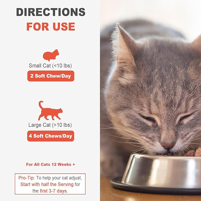 Hairball Control Chews for Cats – Chicken Flavor, 100 Soft Chews – Psyllium Husk, Lecithin, Omegas 3-6-9, Zinc & Biotin – Digestive & Skin Support for Hairball Reduction