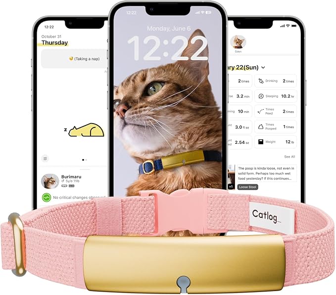 Health Tracker for Cats - Smart Cat Collar with Safety Breakaway Buckle for Indoor Cats, Wellness Alerts, Real-time Monitoring (Sakura,XXL)
