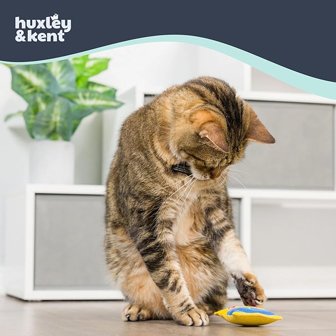 Huxley & Kent Plush Cat Toy - Interactive Catnip Toy for Cats & Kittens - Soft with Crinkle & Catnip - Fun Indoor Play - Sweetest Fish
