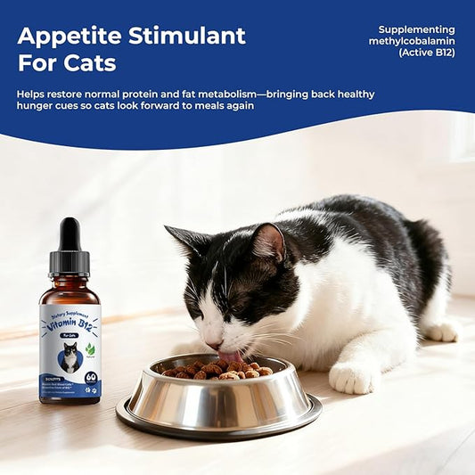 Appetite Stimulant for Cats, Liquid Vitamin B12 Drops, Methylcobalamin Supplement, Boosts Appetite, Energy, Mood, Recovery and Red Blood Cell Formation, Cat Vitamins - 2 fl oz (60ml)