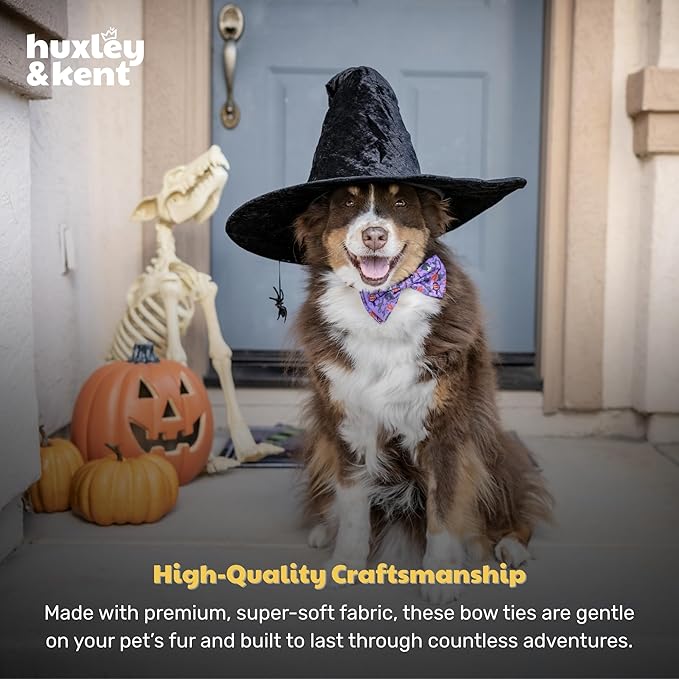 Huxley & Kent Pet Bow Tie for Dogs & Cats - Halloween Adjustable Hook & Loop Collar Accessory - Cute & Comfortable for Holidays & Celebrations - Witch's Brew, Small