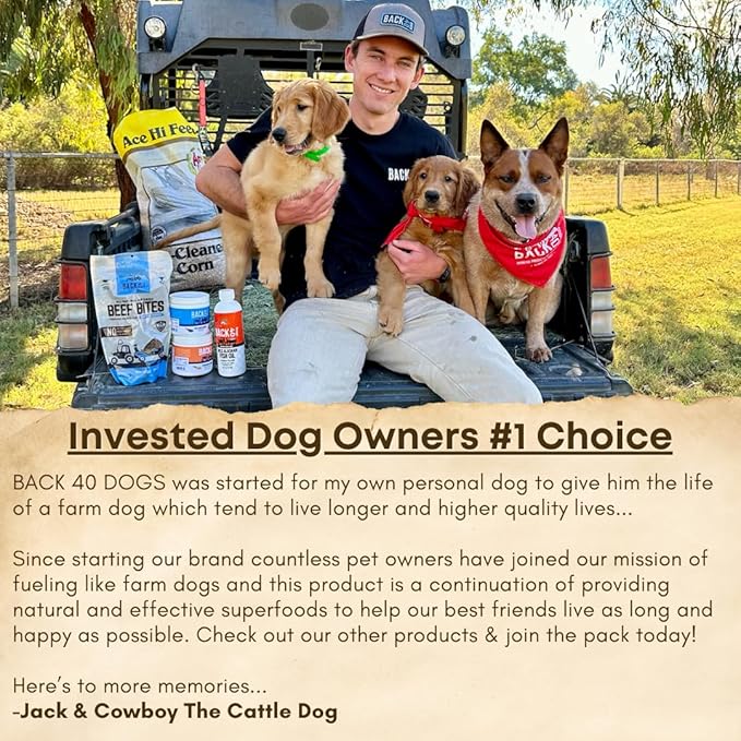 Yak Cheese Himalayan Dog Chews – Long-Lasting Natural Chews for Aggressive Chewers – 2-Ingredient, High Protein, Odorless, Dental Health Treats for Dogs (Large, 12 Pack)