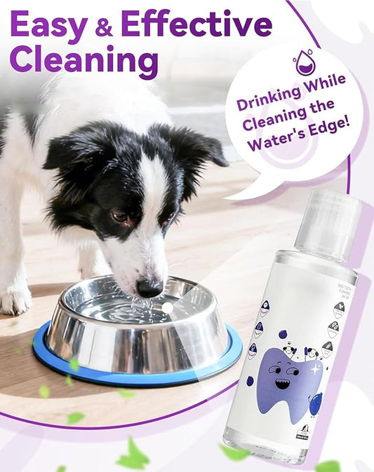 Dental Water Additive, Specialized Dental Care Formula，Natural Flavorless Teeth Cleaning Mouthwash, Freshens Dog Breath & Promotes Healthy Gums, Easy Daily Use for All Pet 200ml/6.76fl.oz（1pcs）