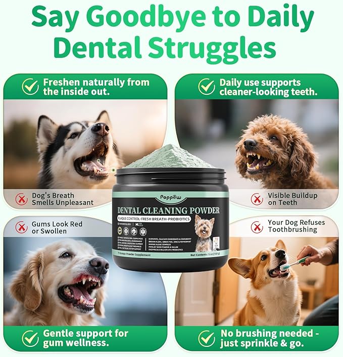 Dog Dental Powder – Teeth Cleaning Powder with 6B CFU Probiotics, Enzymes & Antioxidants, Plaque & Tartar Off, Fresh Breath Support, No Brushing Oral Care, Mint Chicken Flavor, 75 Servings