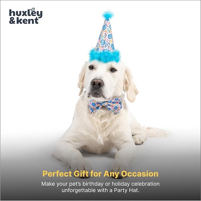 Huxley & Kent Pet Party Hat w/SnugFit Tech - Cute Glitter Doggie Birthday Party Hat - Cat & Dog Birthday Hat - Dog Hats for Parties, Adoption or Gotcha Day (Happy Got Me Day, Large)