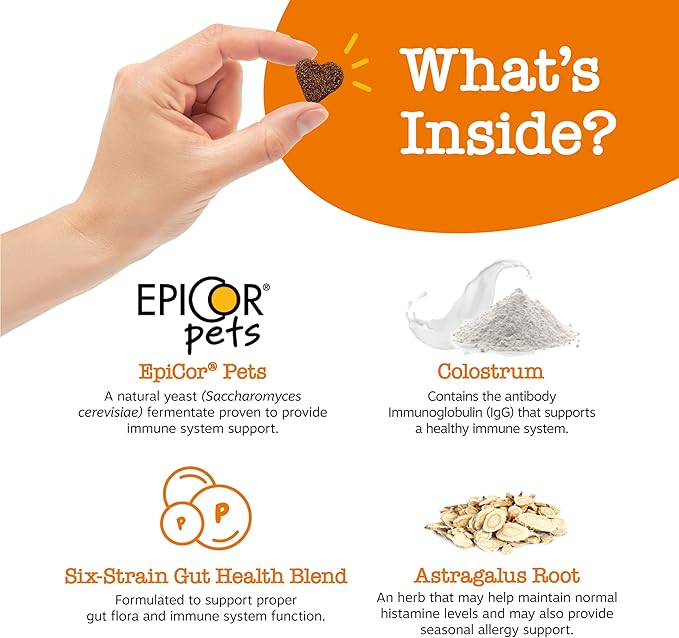 Zesty Paws Dog Allergy Relief- Dog Itching Skin Relief- Dog Probiotics for Itchy Skin and Itchy Ears- Dog Allergy Paw Relief- Dog Allergy Chews- Dog Itch Relief - Dog Skin Allergy Relief - Lamb - 90ct