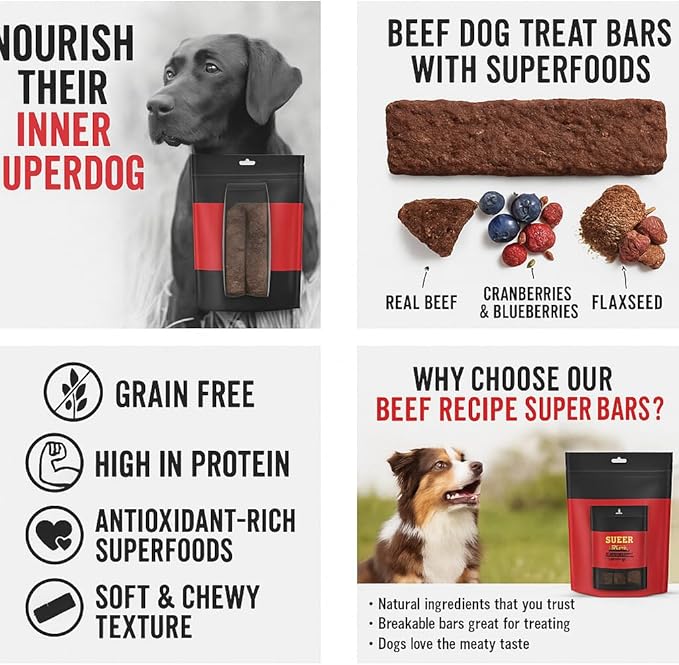 Zoe Super Bars Beef Recipe Dog Treats - Protein Packed Snacks with Berries and Flax Grain Gluten Free 32 oz Bag Big of Made The Finest Ingredients, 2 Pound (Pack 1)