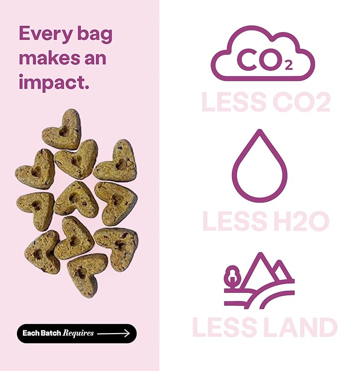 Wild Earth Superfood Dog Treats, Plant Based Dog Treats with Omega Acids, Prebiotics & Koji Protein, No Fillers, Veterinarian-Developed, Strawberry & Beet Flavor