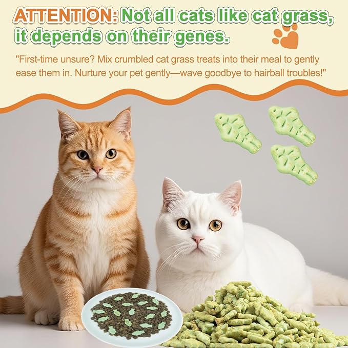 17.6 oz Cat Grass Treats for Indoor Cats - Hairball Control Natural Salmon & Catnip Flavor Healthy Kitten Snacks Crunchy Training Biscuits for Dental Cleaning