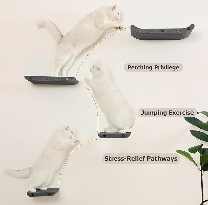 Wall Mounted Cat Shelves and Perches,Scratcher Cat Beds & Furniture for Indoor Cats, Soft PET Felt Feline Climbing Wall Set, Modern Jungle Gym System for Lounging and Sleeping(Set of 4-Grey)