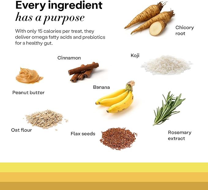 Wild Earth Superfood Dog Treats, Plant Based Dog Treats with Omega Acids, Prebiotics & Koji Protein, No Fillers, Veterinarian-Developed, Banana & Cinnamon Flavor