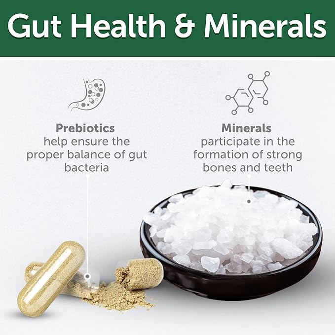 Nature's Protection Cat Dental Treats - Crunchy Oral Care Chews for Cat Teeth Cleaning for Adult Cats - No Bad Breath, Less Hairball (Superior Care - Poultry, 2.64 oz)