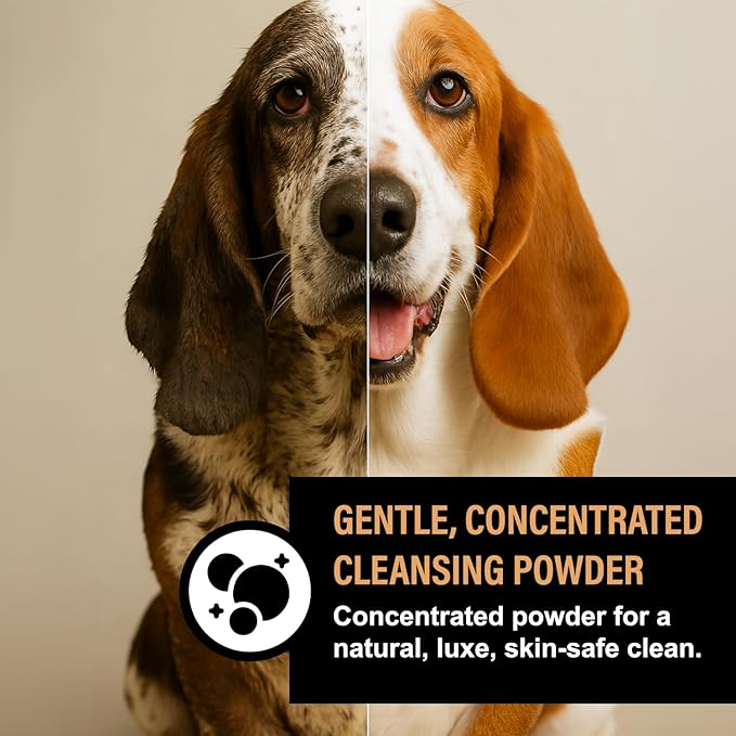 Dog Shampoo Alternative – Oatmeal & Honey Puppy Bubble Bath with Autumn Scent – Natural Gentle Dog Wash – Halloween Dog Gift - 12 Baths (Oatmeal Honey)