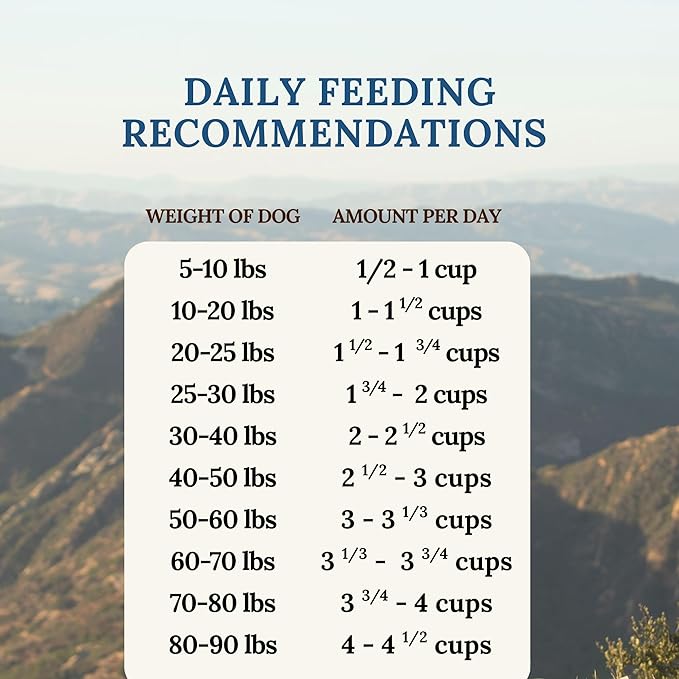 360 Pet Nutrition Freeze-Dried Raw Dog Food – Beef Recipe with Liver & Organs, High Protein with Omega-3s, Fruits, Veggies & Superfoods, Grain-Free, No Fillers, 5 oz – Made in USA