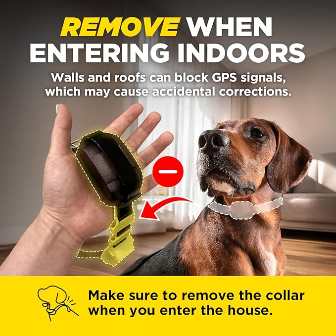 Dogtra GPS Fence – No Subscription, Custom Wireless Dog Fence with App, Smart Guidance & Return Reminder Tone/Vibration/Correction, IPX9K Waterproof Rechargeable Collar, Safe Freedom for Dogs 15 Lbs+