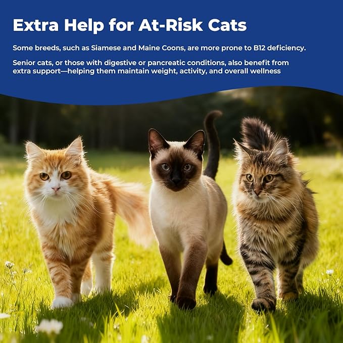 Appetite Stimulant for Cats, Liquid Vitamin B12 Drops, Methylcobalamin Supplement, Boosts Appetite, Energy, Mood, Recovery and Red Blood Cell Formation, Cat Vitamins - 2 fl oz (60ml)