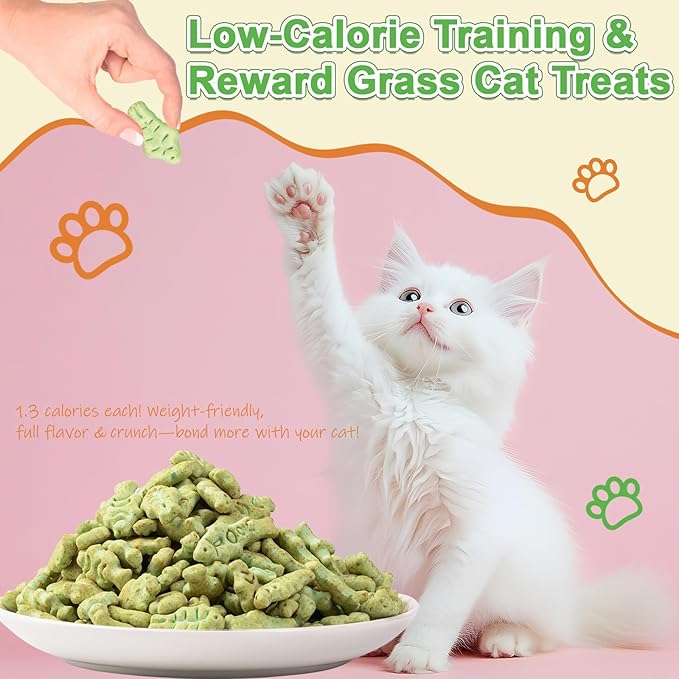 17.6 oz Cat Grass Treats for Indoor Cats - Hairball Control Natural Salmon & Catnip Flavor Healthy Kitten Snacks Crunchy Training Biscuits for Dental Cleaning