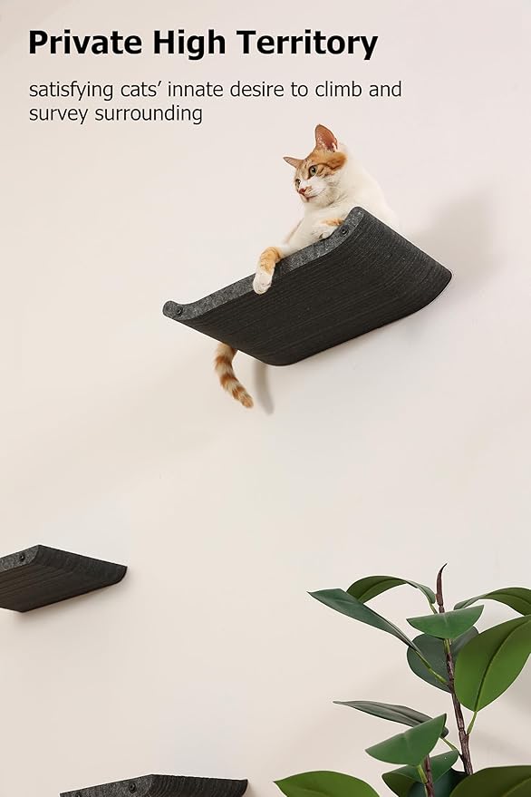 Wall Mounted Cat Shelves and Perches,Scratcher Cat Beds & Furniture for Indoor Cats, Soft PET Felt Feline Climbing Wall Set, Modern Jungle Gym System for Lounging and Sleeping(Set of 4-Grey)