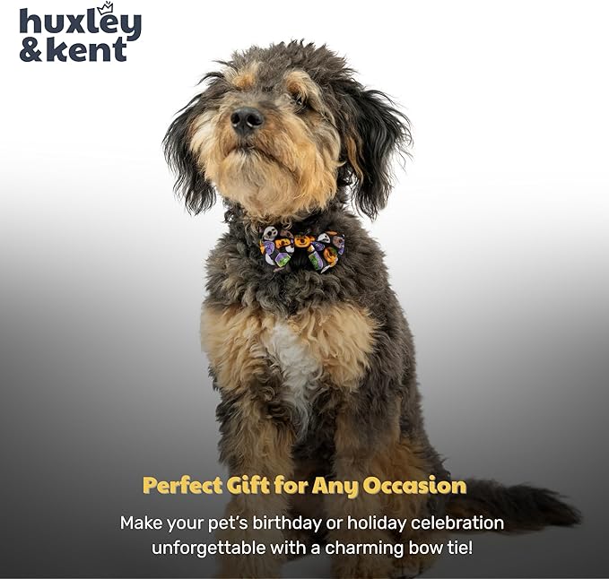 Huxley & Kent Pet Bow Tie for Dogs & Cats - Halloween Adjustable Hook & Loop Collar Accessory - Cute & Comfortable for Holidays & Celebrations - Halloween Donuts, Smal