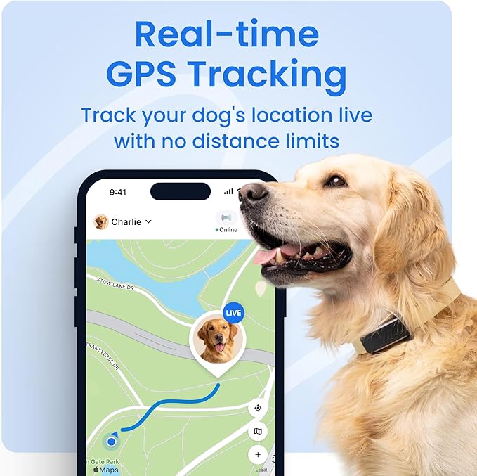 Tractive Smart Dog GPS Tracker | Live Pet Tracker with Virtual Fence | Vital Signs Monitoring of Heart & Respiratory Rate | Bark Monitoring | Dog Collar Attachment (Mint)