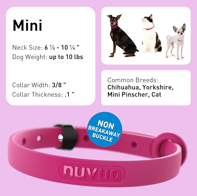 Dog Collar - Comfortable, Soft and Lightweight Adjustable Collar with Name Tag Ring for Miniature Dogs and Puppies - Non Breakaway Cat Collar by Nuvuq (Pink, Mini)