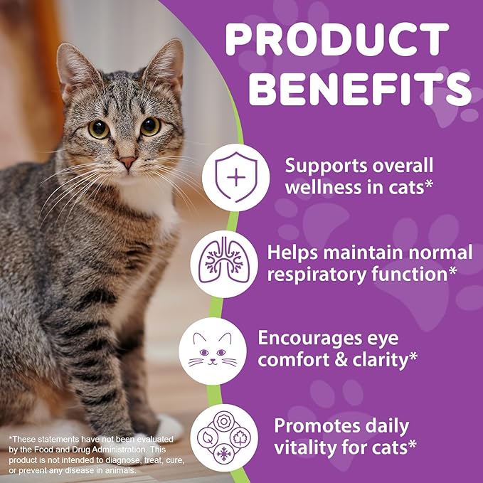 Lysine for Cats - 2 Packs Cat Lysine Drops