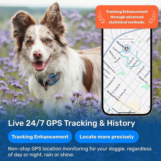 AI GPS Tracker for Dogs (30lbs+), Real Time Location and AI Vet Health Management, Electronic Fence, Waterproof, iOS and Android Universal（Black）