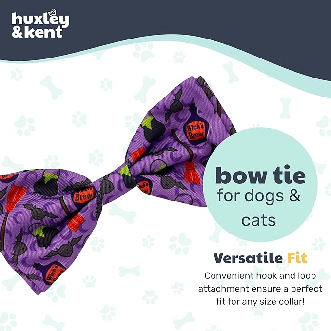 Huxley & Kent Pet Bow Tie for Dogs & Cats - Halloween Adjustable Hook & Loop Collar Accessory - Cute & Comfortable for Holidays & Celebrations - Witch's Brew, Large