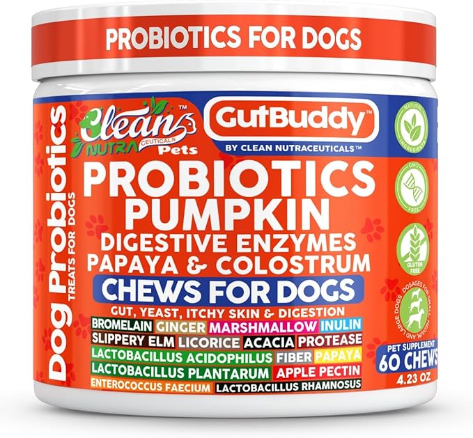 Gut Health Probiotics for Dogs + Pumpkin Colostrum Digestive Enzymes Ginger Slippery Elm Licorice Inulin Fiber Soft Chews Dog Probiotic Beef Flavor Digestion Supplement Treat Bites Large & Small Pets