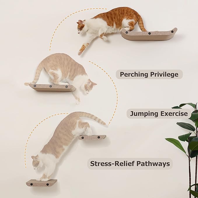 Wall Mounted Cat Shelves and Perches,Scratcher Cat Beds & Furniture for Indoor Cats, Soft PET Felt Feline Climbing Wall Set, Modern Jungle Gym System for Lounging and Sleeping(Set of 4-Oatmeal)