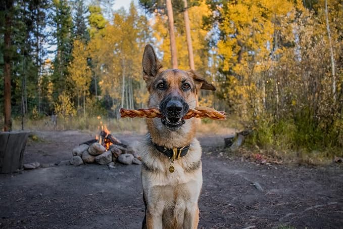 Redbarn 12" Premium Braided Bully Sticks for Dogs - Natural Single Ingredient Braid Treats, Long-Lasting Chews Made from Slow Roasted Beef, Rawhide-Free and Low Odor – 2 Count