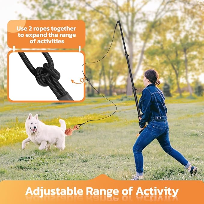 LOOBANI Flirt Pole for Dogs - Chase & Tug of War, Interactive Toys & Extendable Teaser Wand for Small Dogs Training & Exercise